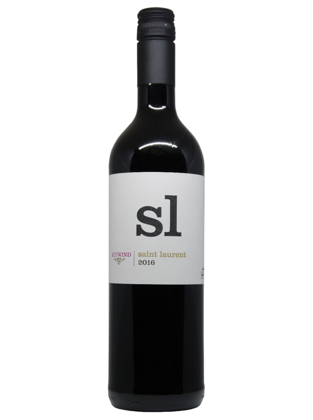 Thomas Hensel Aufwind Saint Laurent sl